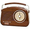 Brighton Portable Radio Woodgrain